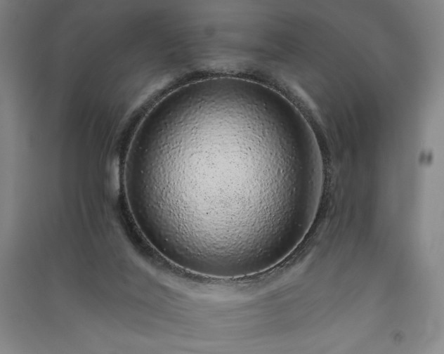 X0000091330020200708171400