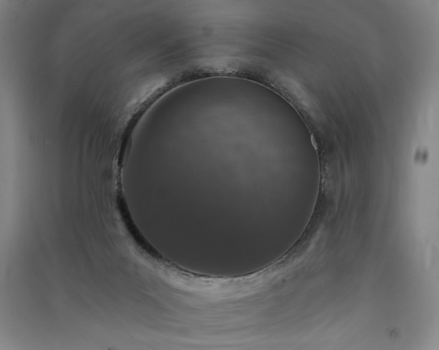 X0000091330023200708171400