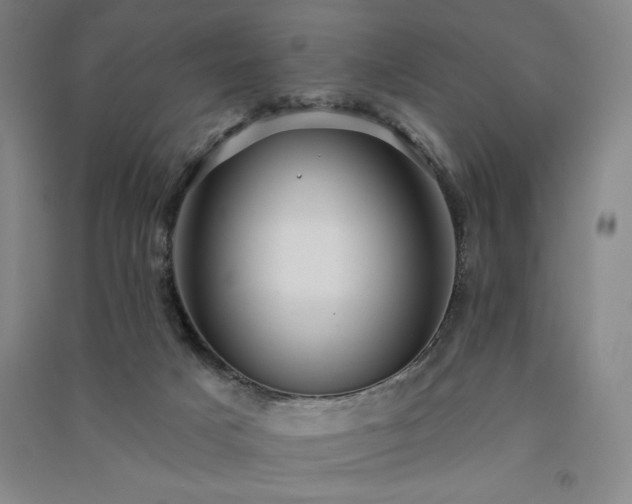 X0000091330025200708171400