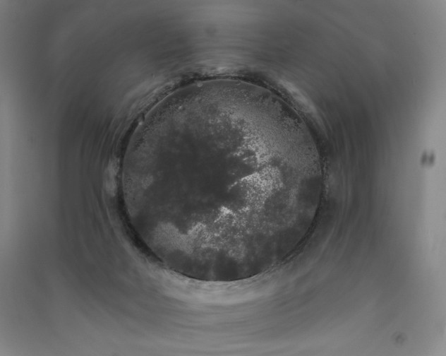 X0000091330026200708171400