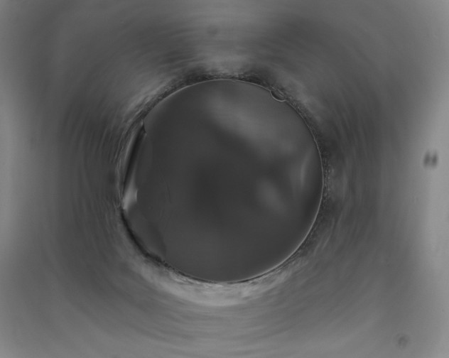 X0000091330027200708171400