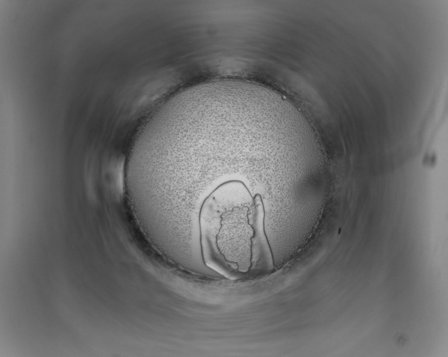 X0000091330028200708171400