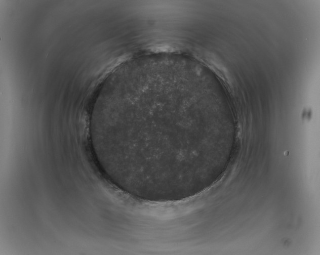 X0000091330029200708171400