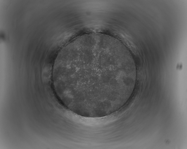 X0000091330030200708171400