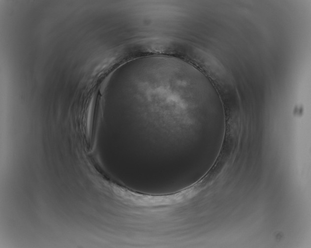 X0000091330031200708171400