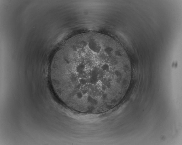 X0000091330032200708171400