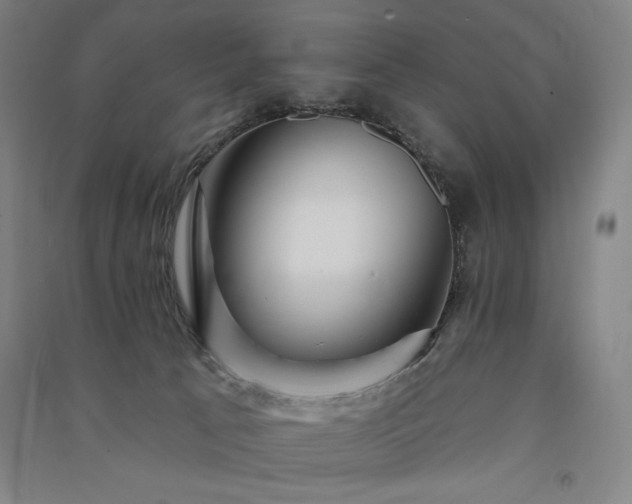 X0000091330033200708171400