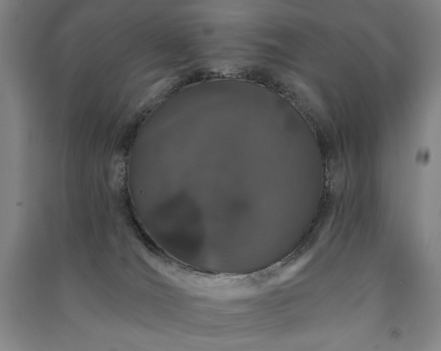 X0000091330036200708171400