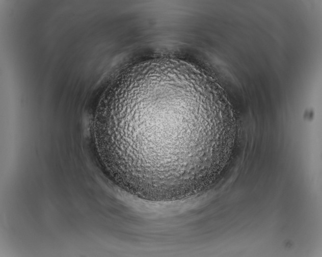 X0000091330038200708171400