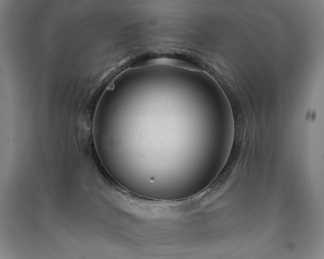 X0000091330040200708171400