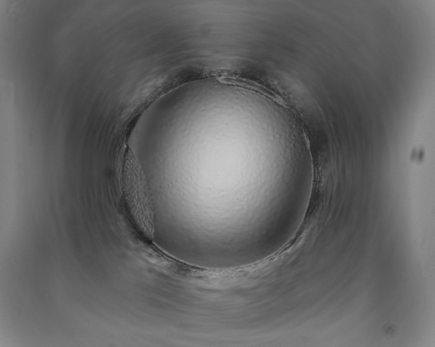 X0000091330041200708171400