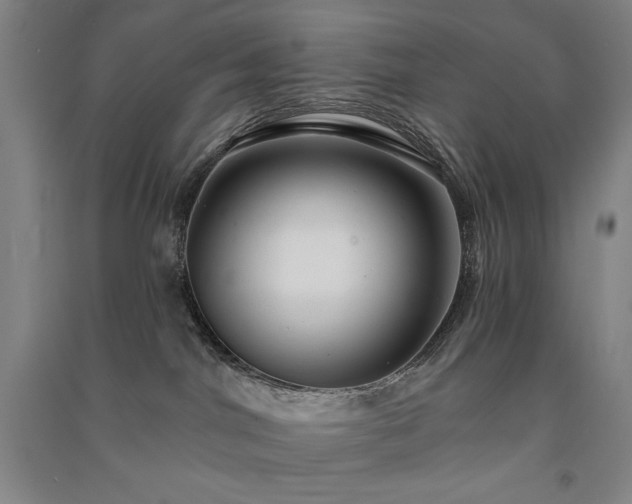 X0000091330044200708171359