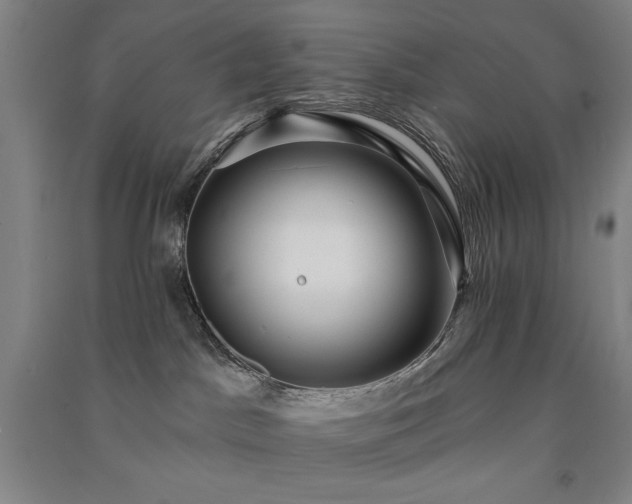 X0000091330045200708171359