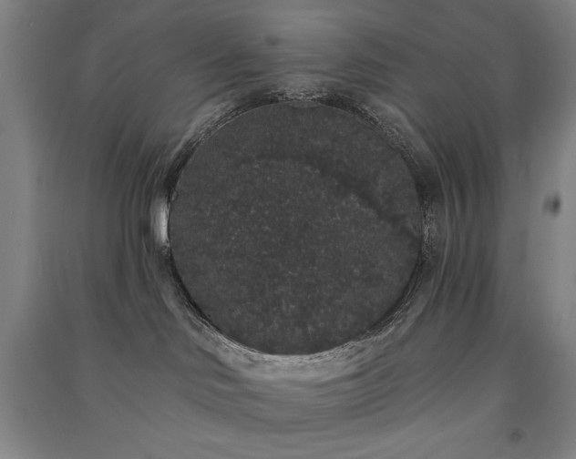 X0000091330046200708171359