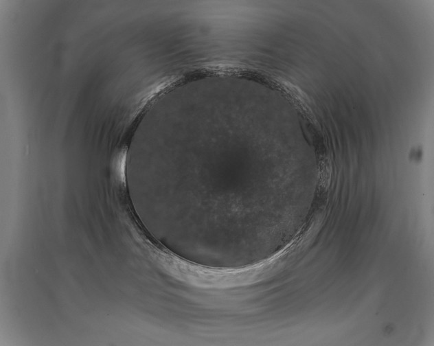 X0000091330047200708171359