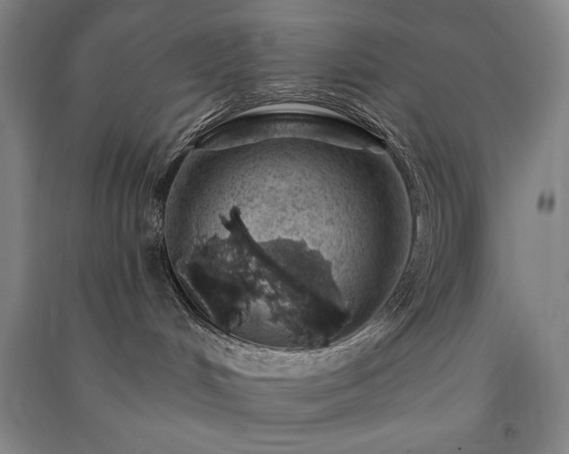 X0000091330048200708171359