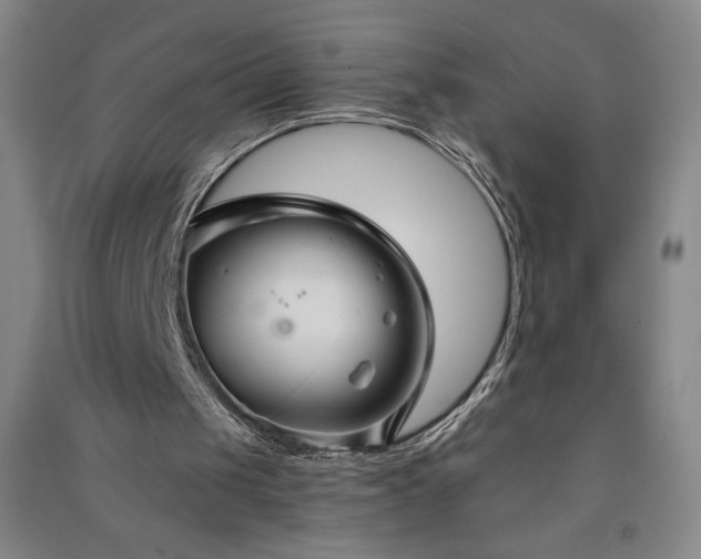 X0000091330049200708171359