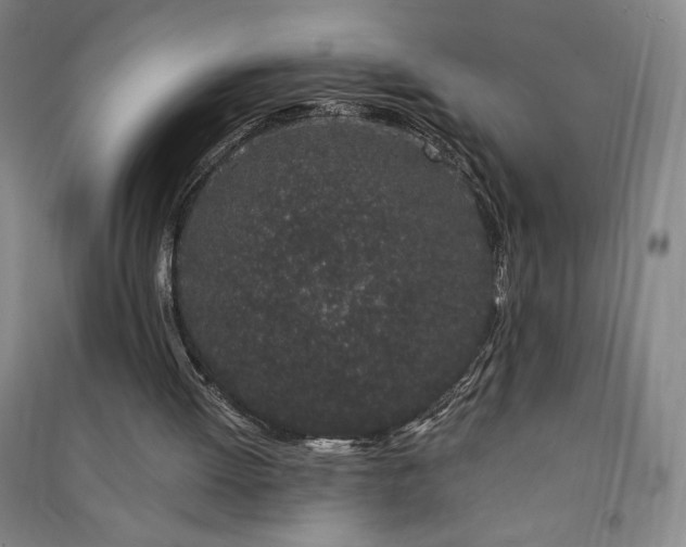 X0000091330052200708171359