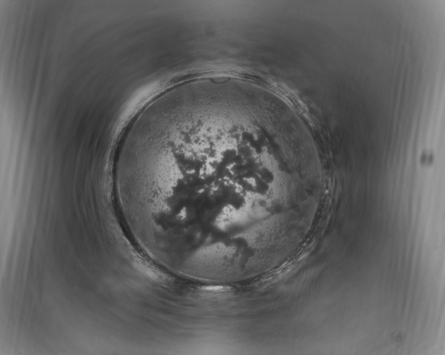 X0000091330053200708171359