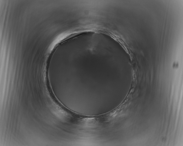 X0000091330054200708171359