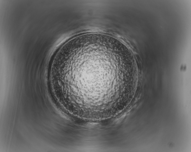 X0000091330055200708171359