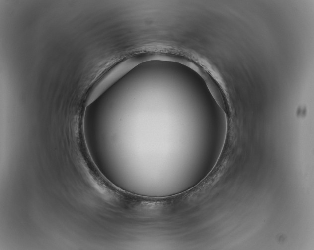 X0000091330057200708171359