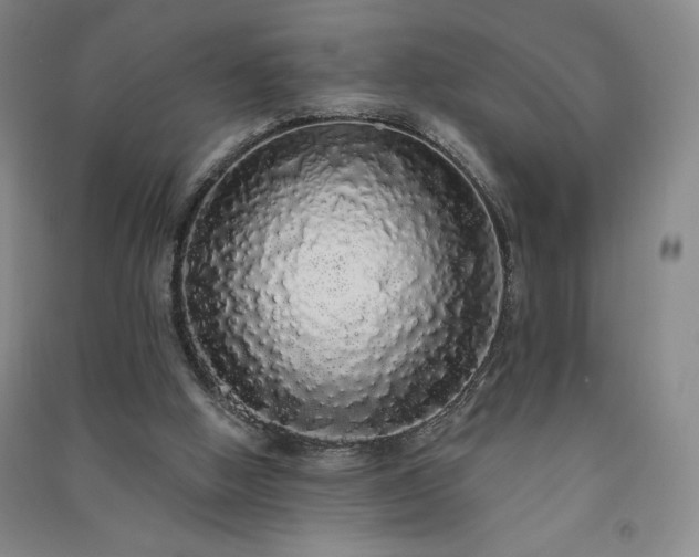 X0000091330058200708171359