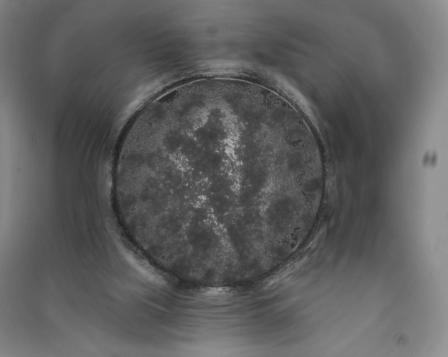 X0000091330059200708171359