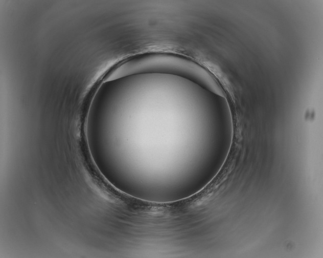 X0000091330060200708171359