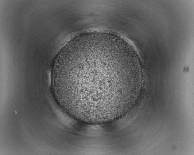 X0000091330061200708171359