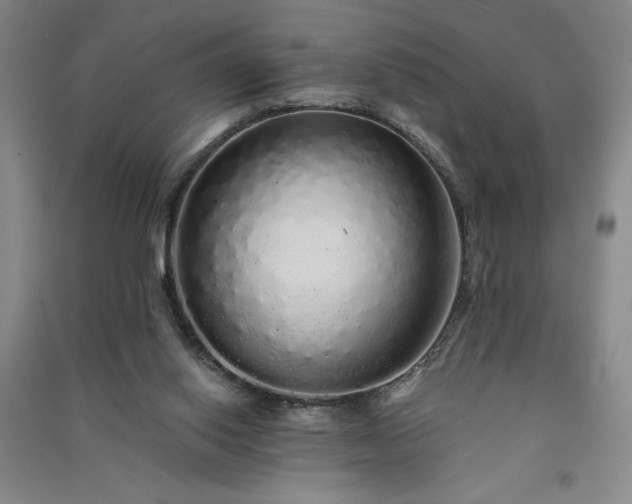 X0000091330062200708171359