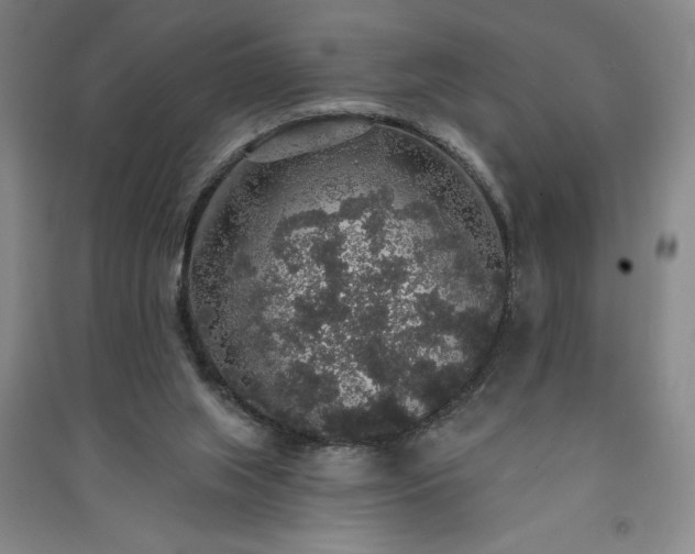 X0000091330063200708171359