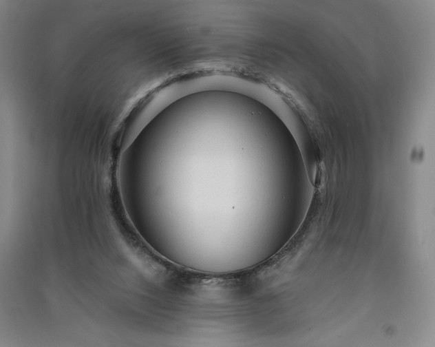 X0000091330064200708171359