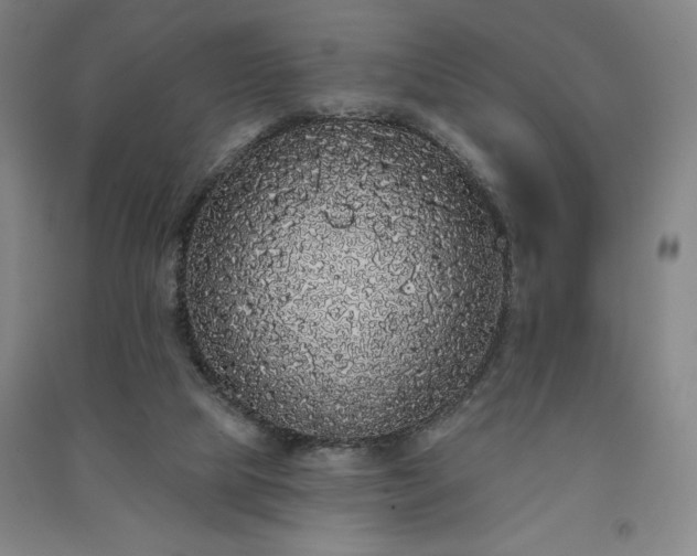 X0000091330065200708171359