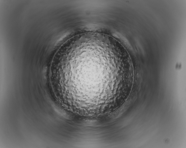 X0000091330066200708171359