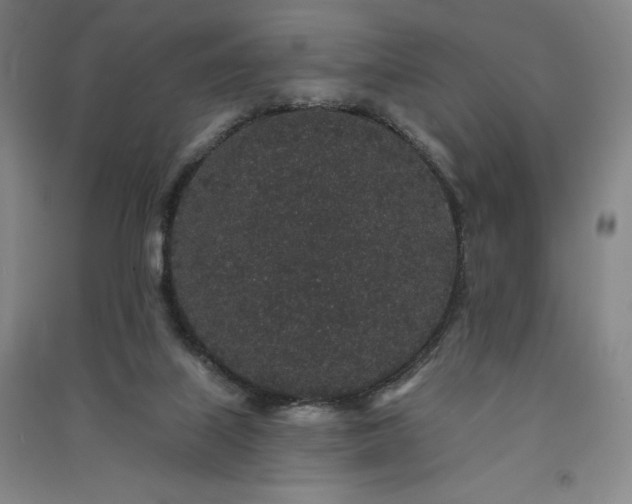 X0000091330067200708171359