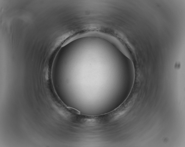 X0000091330068200708171359