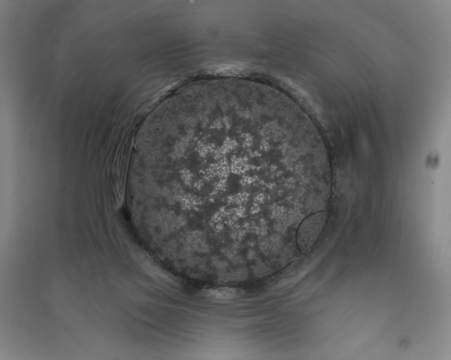 X0000091330069200708171359