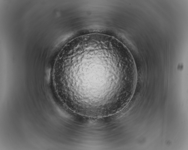 X0000091330070200708171359