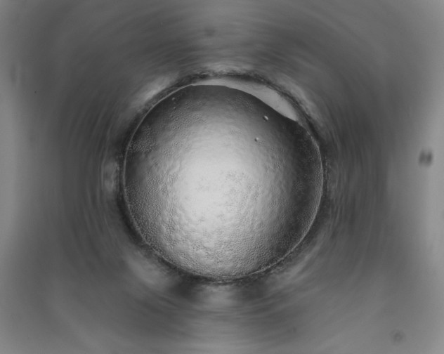 X0000091330071200708171359