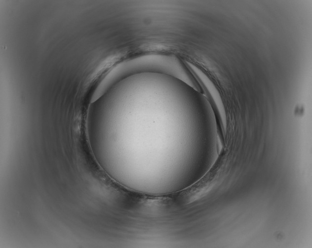 X0000091330072200708171359