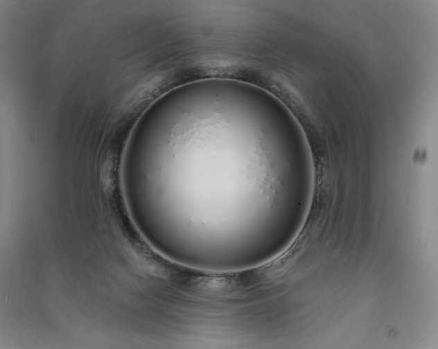 X0000091330074200708171359