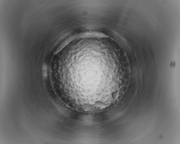 X0000091330075200708171359