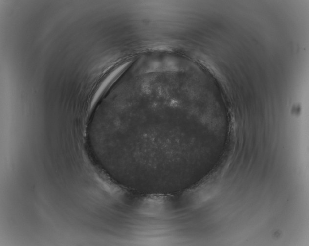 X0000091330076200708171359