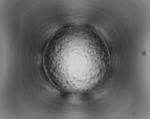 X0000091330077200708171359