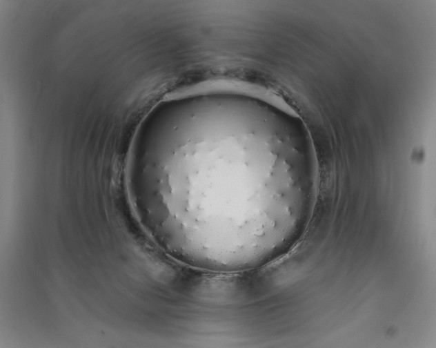 X0000091330078200708171359