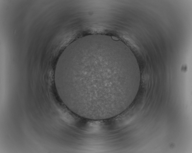 X0000091330079200708171359