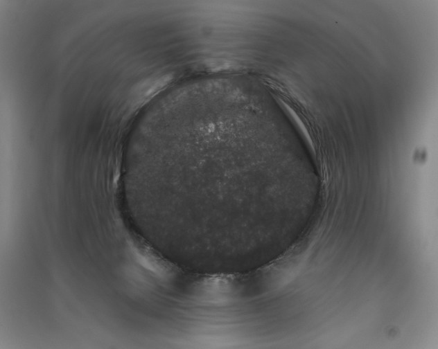 X0000091330080200708171359