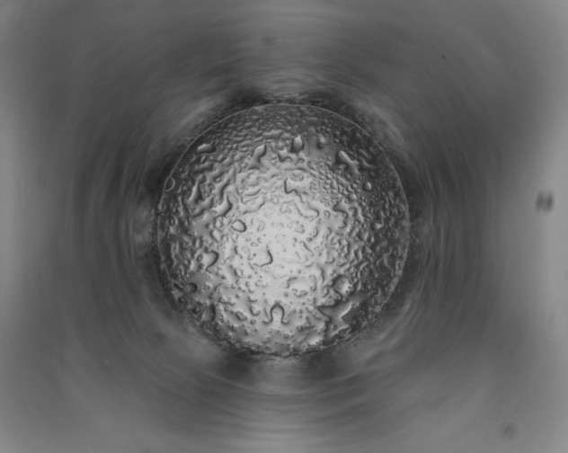 X0000091330081200708171359