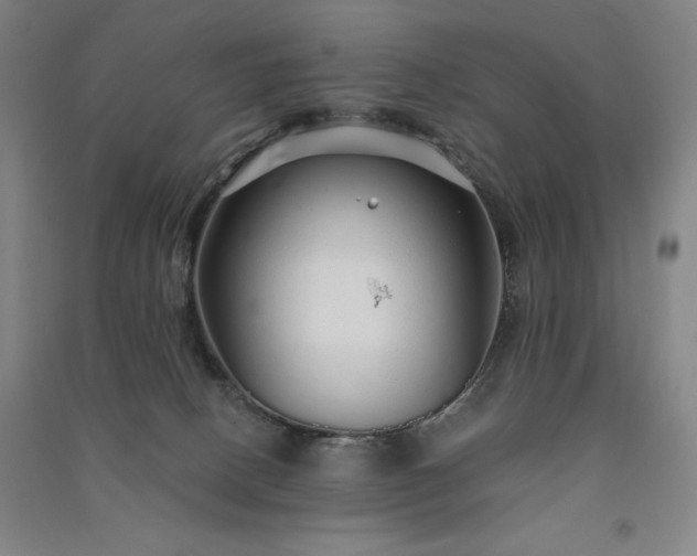 X0000091330082200708171359